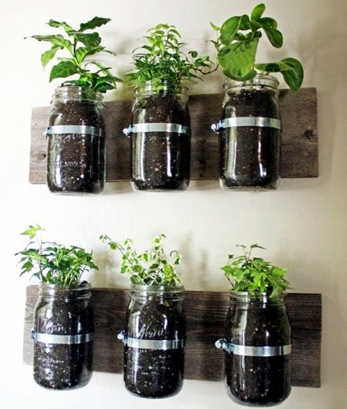 Herb garden ideas for wonderful Feng Shui Kitchen Herb garden ideas for wonderful Feng Shui Kitchen