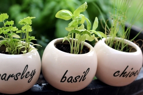 Herb garden ideas for wonderful Feng Shui Kitchen