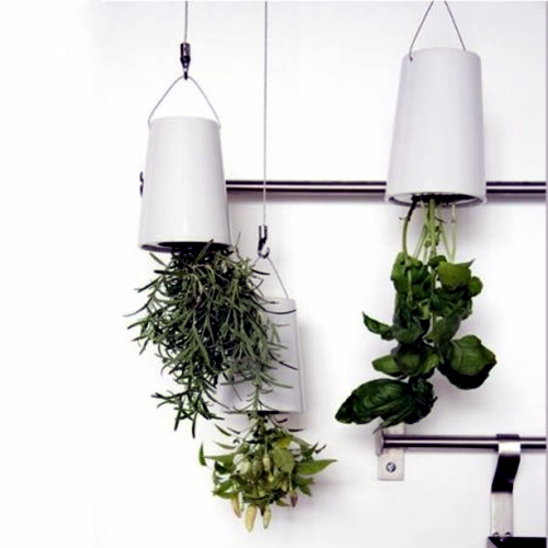 Herb garden ideas for wonderful Feng Shui Kitchen Herb garden ideas for wonderful Feng Shui Kitchen