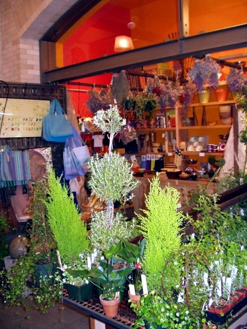 Herb garden ideas for wonderful Feng Shui Kitchen