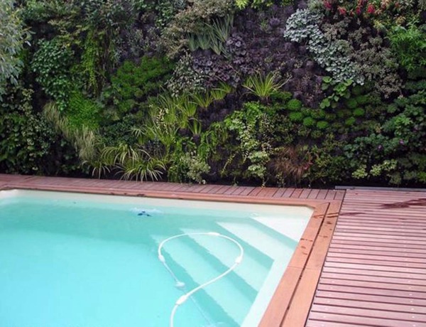Vertical garden next to the swimming pool brings more green into your home Vertical garden next to the swimming pool brings more green into your home
