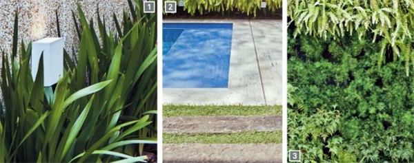 Vertical garden next to the swimming pool brings more green into your home