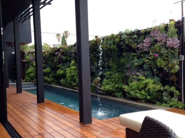 Vertical garden next to the swimming pool brings more green into your home Vertical garden next to the swimming pool brings more green into your home