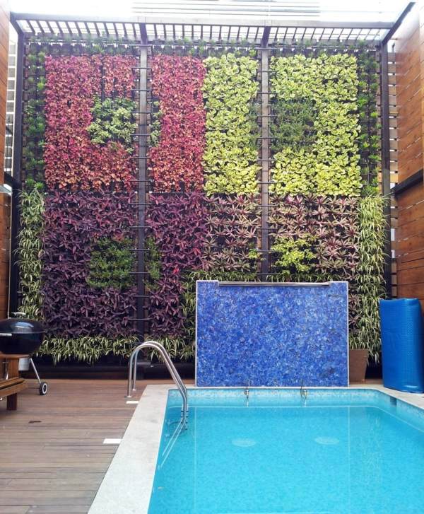 Vertical garden next to the swimming pool brings more green into your home Vertical garden next to the swimming pool brings more green into your home