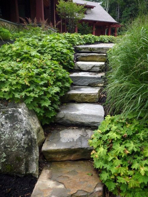 American Garden - Tips for the care