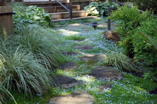 American Garden - Tips for the care