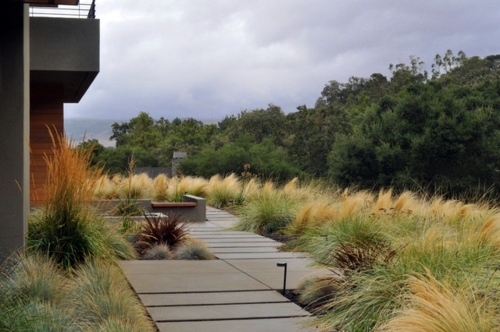 American Garden - Tips for the care