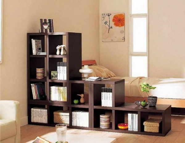 Shelves as a partition - 20 great ideas and advice