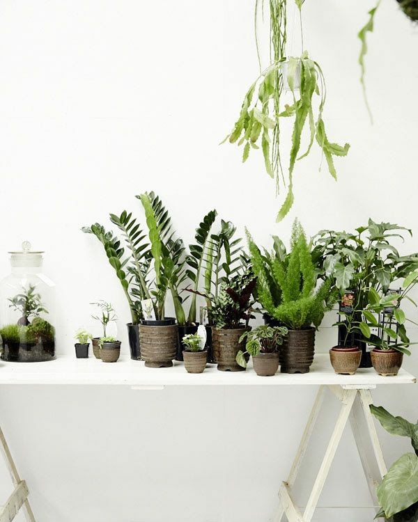 Einrichtungsideen - Room verdure images and inspiring decor ideas