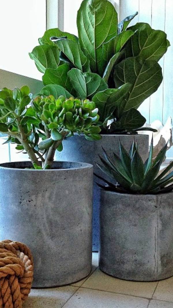 Room verdure images and inspiring decor ideas