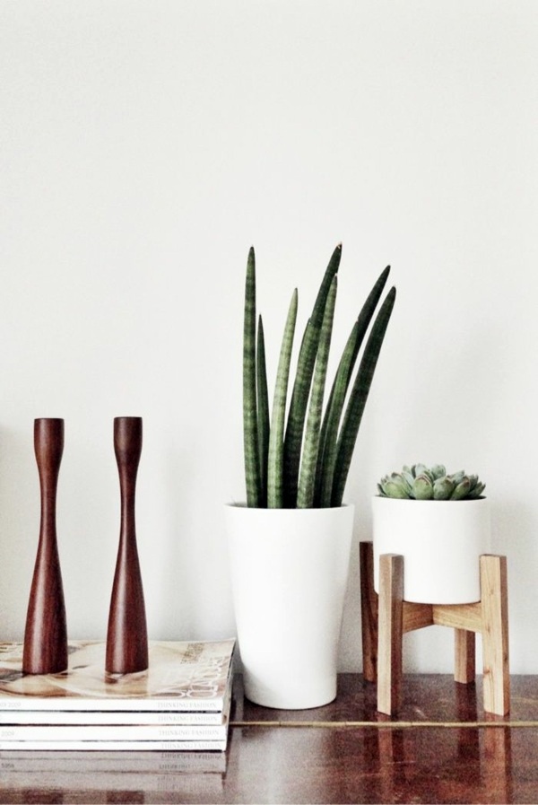 Room verdure images and inspiring decor ideas