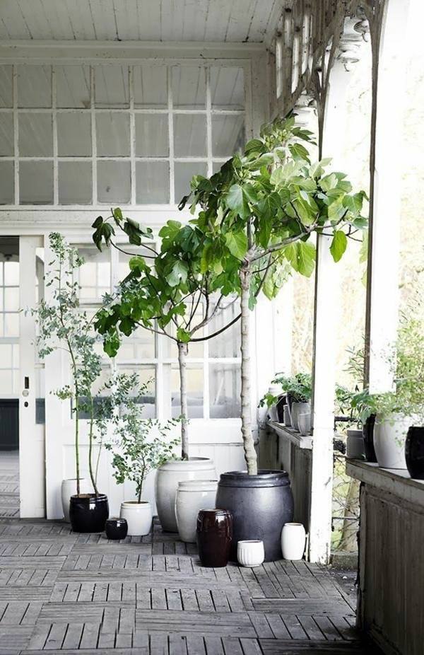 Room verdure images and inspiring decor ideas