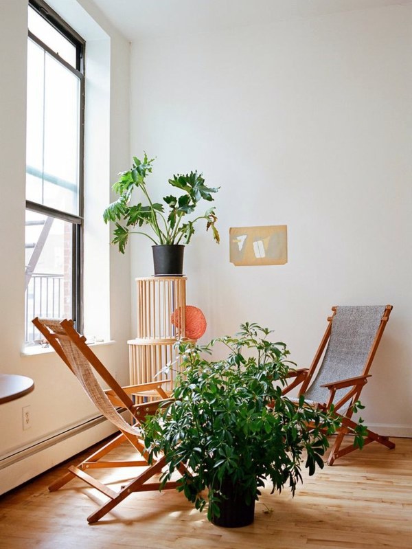 Room verdure images and inspiring decor ideas