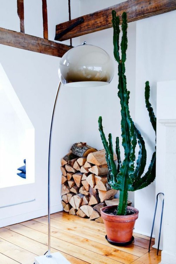 Room verdure images and inspiring decor ideas