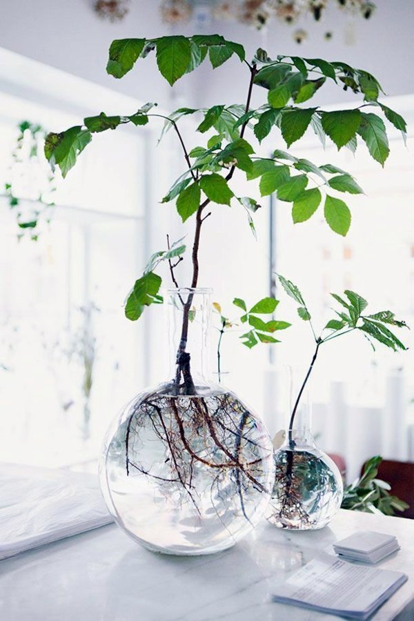 Room verdure images and inspiring decor ideas