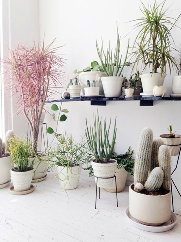 Room verdure images and inspiring decor ideas Room verdure images and inspiring decor ideas