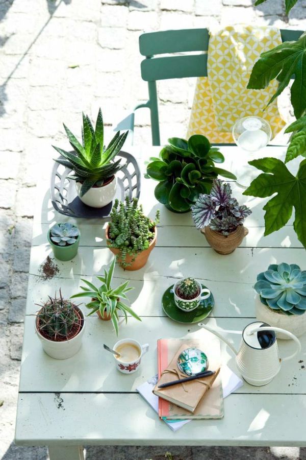 Room verdure images and inspiring decor ideas