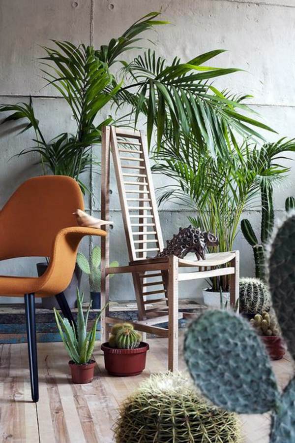 Room verdure images and inspiring decor ideas
