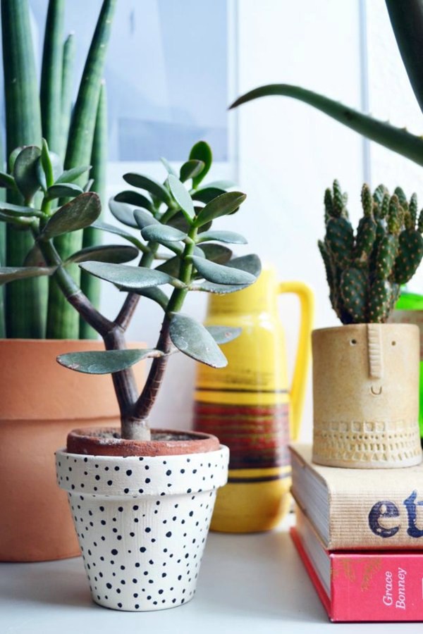 Room verdure images and inspiring decor ideas