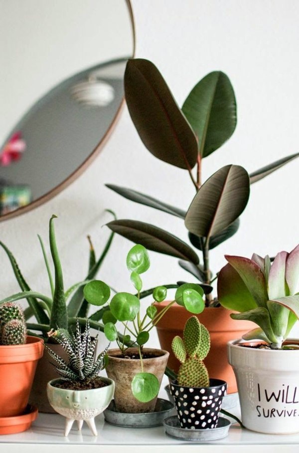 Room verdure images and inspiring decor ideas Room verdure images and inspiring decor ideas