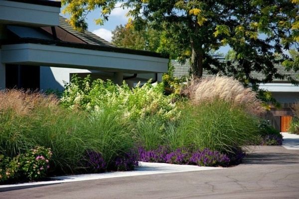 Make the new front yard
