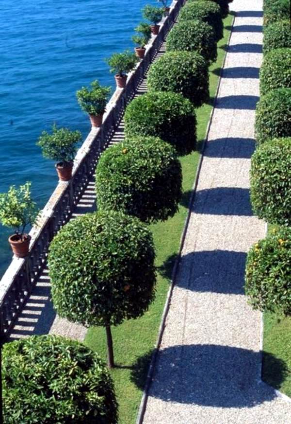 Gartengestaltung - 5 beautiful plant species for the structure in the garden