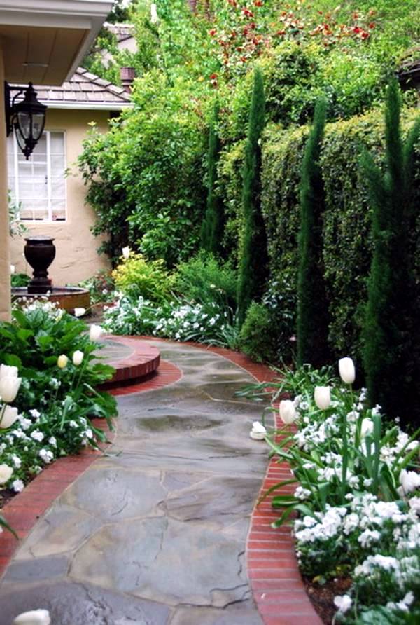 5 beautiful plant species for the structure in the garden