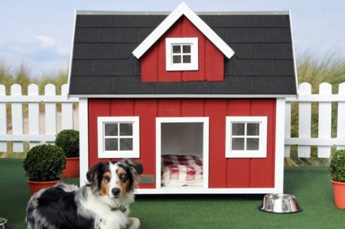 The most modern luxury dog house designs - Have you already selected for your favorite dog? The most modern luxury dog house designs - Have you already selected for your favorite dog?