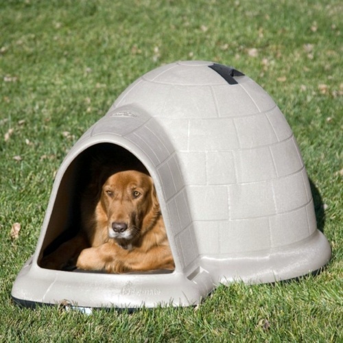 The most modern luxury dog ​​house designs - Have you already selected for your favorite dog?
