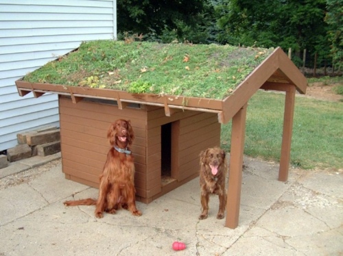The most modern luxury dog house designs - Have you already selected for your favorite dog? The most modern luxury dog house designs - Have you already selected for your favorite dog?