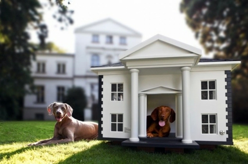 The most modern luxury dog house designs - Have you already selected for your favorite dog? The most modern luxury dog house designs - Have you already selected for your favorite dog?