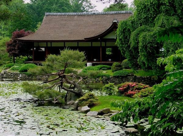Modern, cool garden shed designs - unique architecture