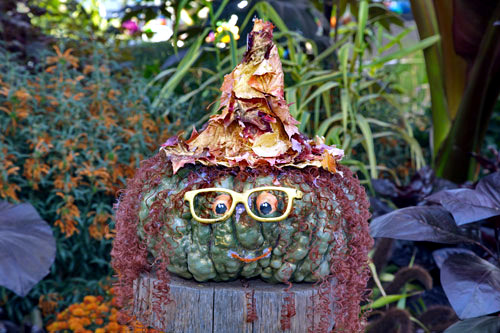 The best Halloween pumpkins The best Halloween pumpkins