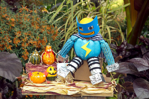 The best Halloween pumpkins The best Halloween pumpkins