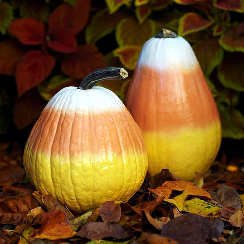 The best Halloween pumpkins The best Halloween pumpkins