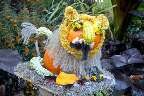 The best Halloween pumpkins The best Halloween pumpkins