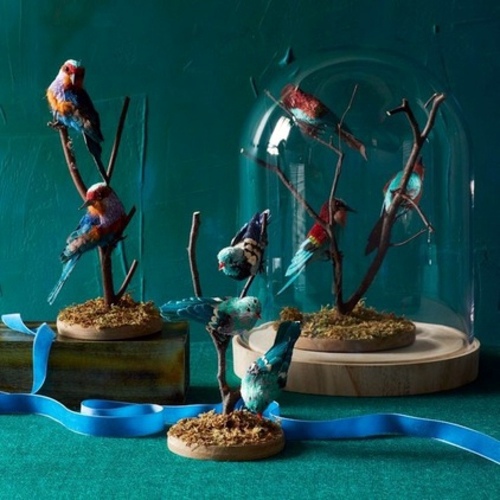 Wonderful home accessories for the coffee table