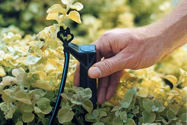 Garten & Pflanzen - Make garden and landscaping with a little water Garten & Pflanzen - Make garden and landscaping with a little water