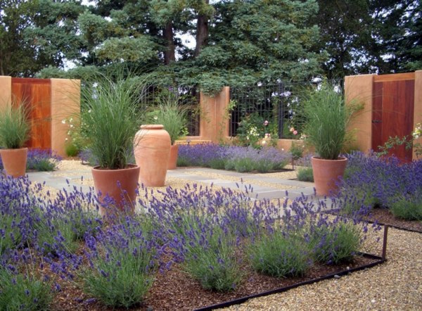 Make garden and landscaping with a little water Make garden and landscaping with a little water