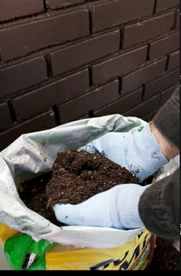 Make garden and landscaping with a little water