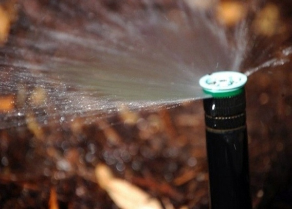 Make garden and landscaping with a little water Make garden and landscaping with a little water
