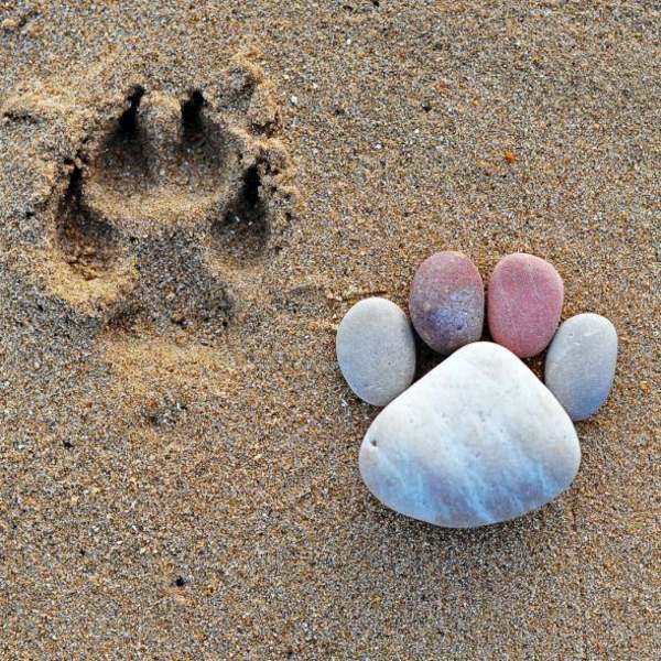 Garden decorations - stone feet are great Sommerdeko