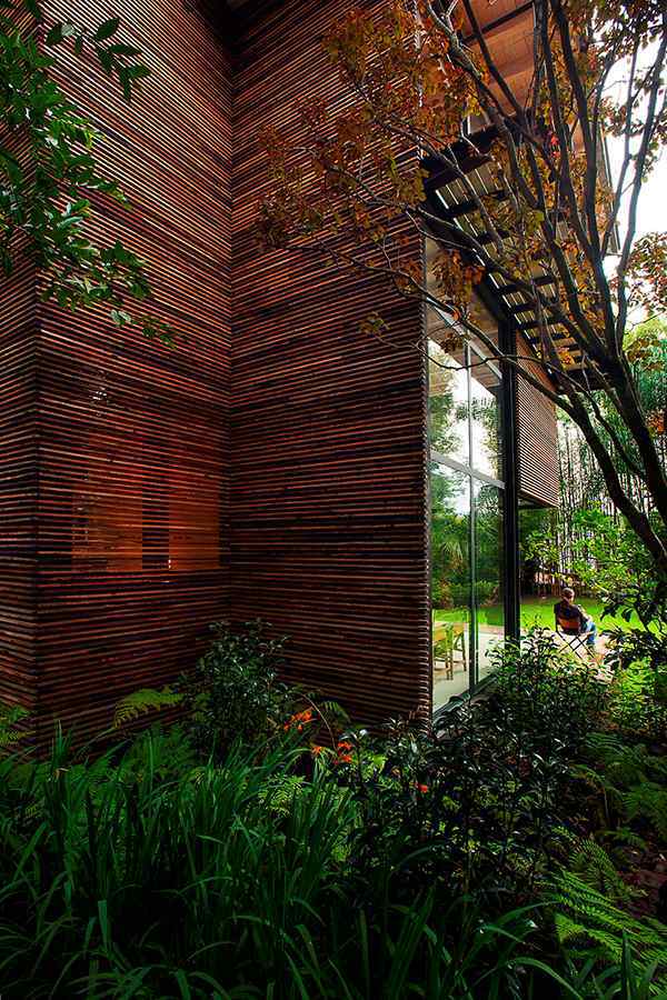 4 wooden home designs with private garden in Mexico - breathtaking surroundings