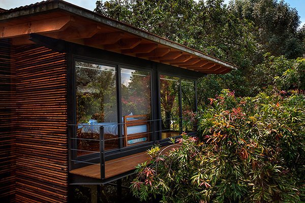 4 wooden home designs with private garden in Mexico - breathtaking surroundings