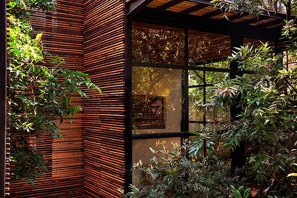 4 wooden home designs with private garden in Mexico - breathtaking surroundings