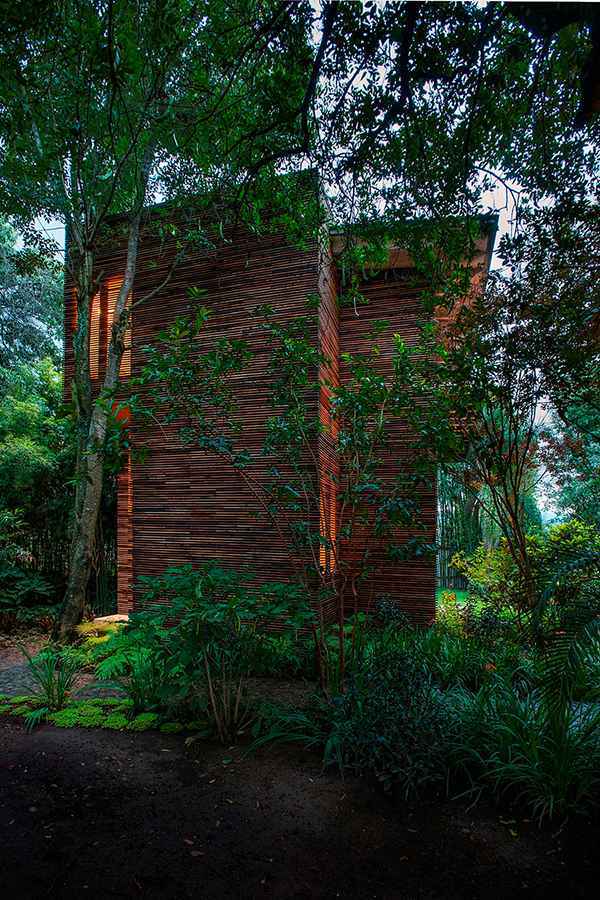 4 wooden home designs with private garden in Mexico - breathtaking surroundings