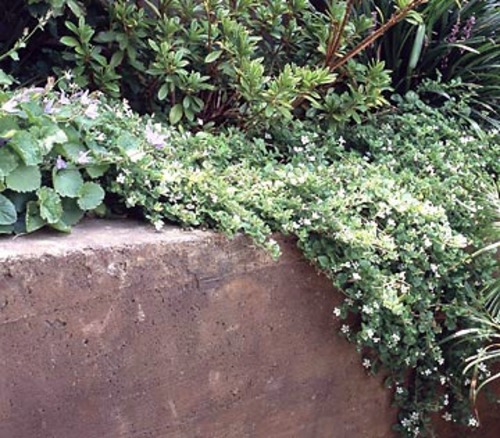 Tips for great landscape on small garden area Tips for great landscape on small garden area