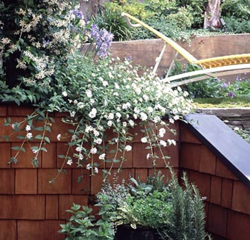 Tips for great landscape on small garden area Tips for great landscape on small garden area