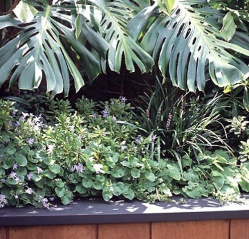Tips for great landscape on small garden area Tips for great landscape on small garden area