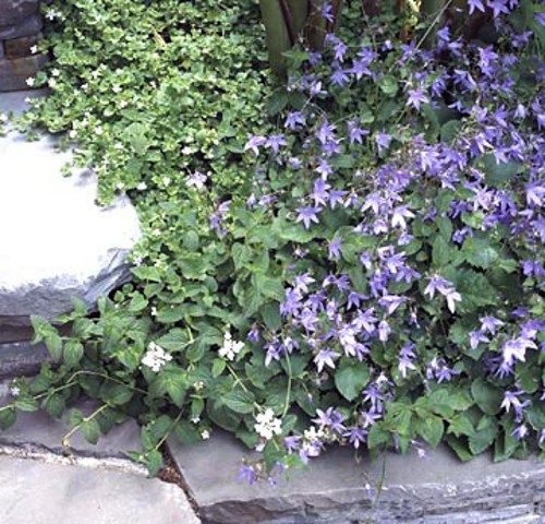Tips for great landscape on small garden area Tips for great landscape on small garden area